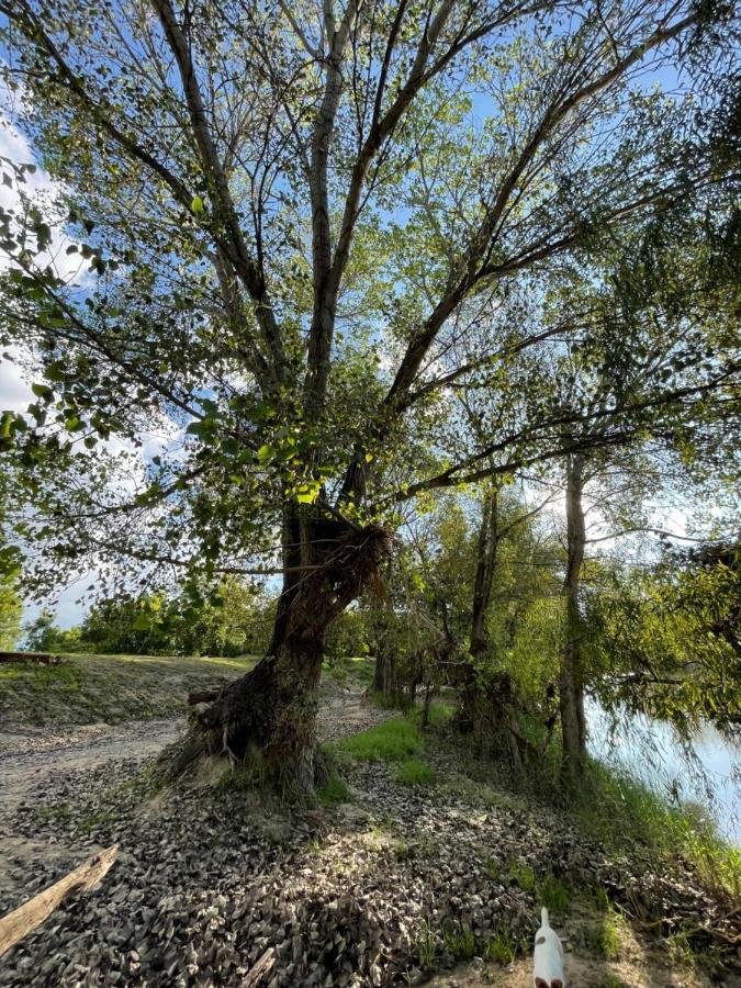 At The River Gasthuis